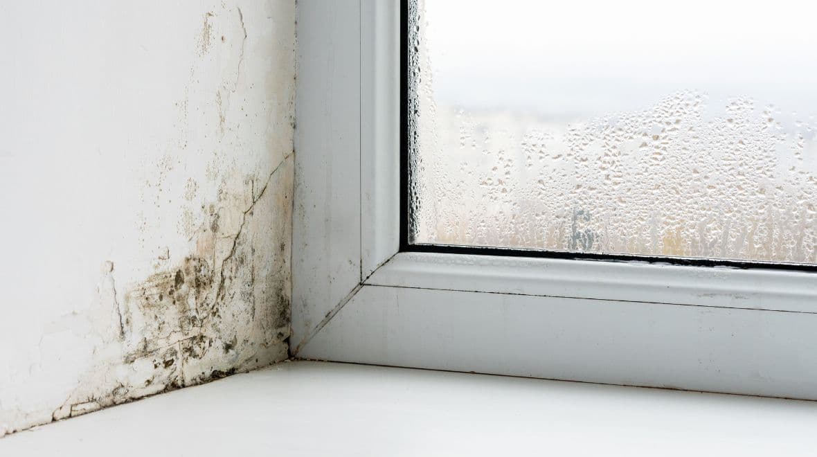 ‘Amazing’ mini dehumidifier keeps damp away during winter – and it’s just £1