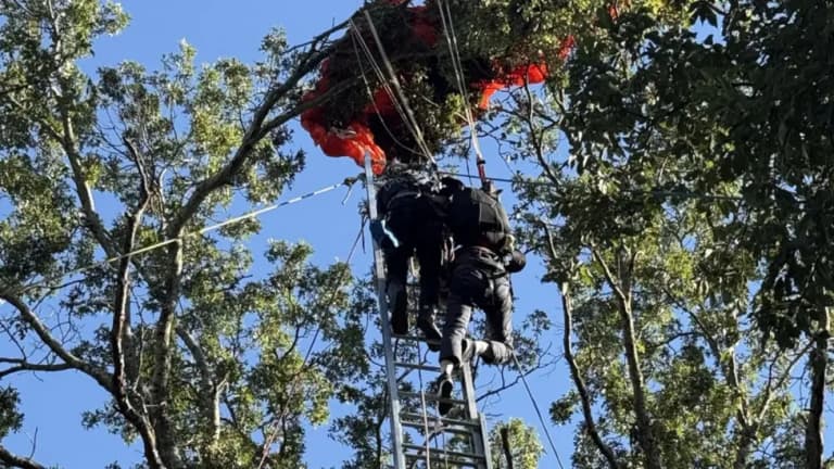 Skydiver jumps to his death without parachute in horror accident
