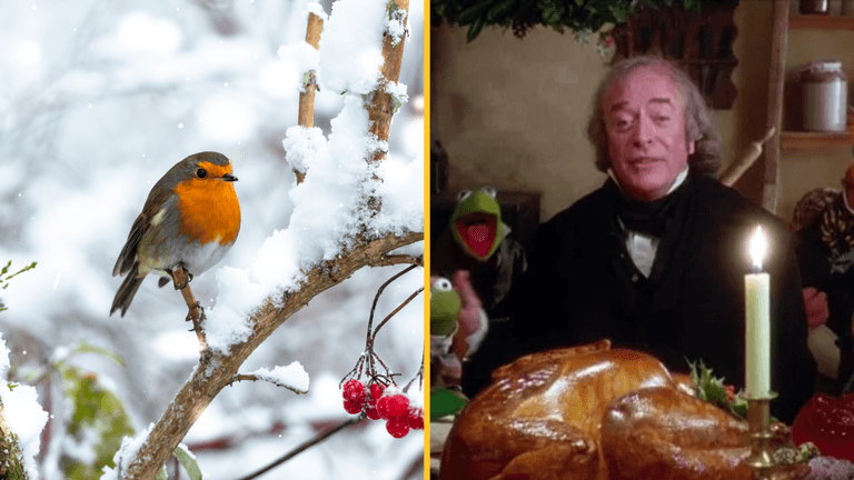 Humbug to the scrooges – I wish it could be Christmas everyday