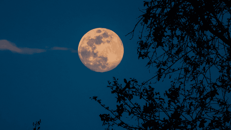 ‘Brightest and biggest’ Beaver supermoon to be visible in UK skies tonight