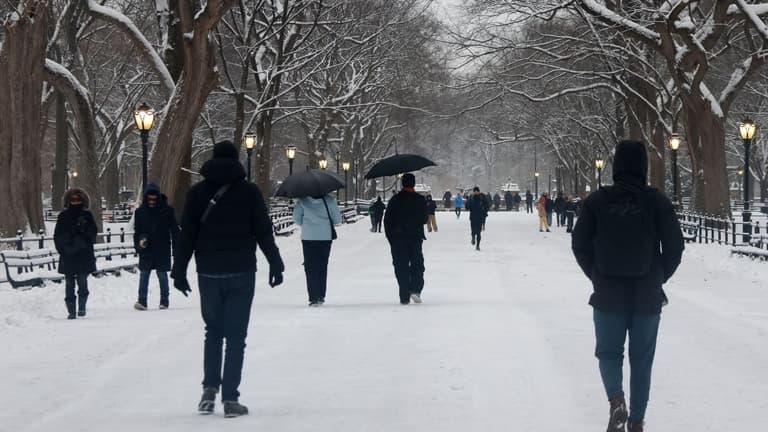 State of emergency declared as storm grounds thousands of flights in New York