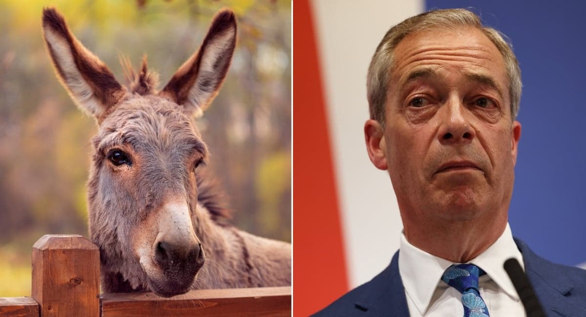People who played a donkey or sheep in their school nativity are most likely to vote Reform