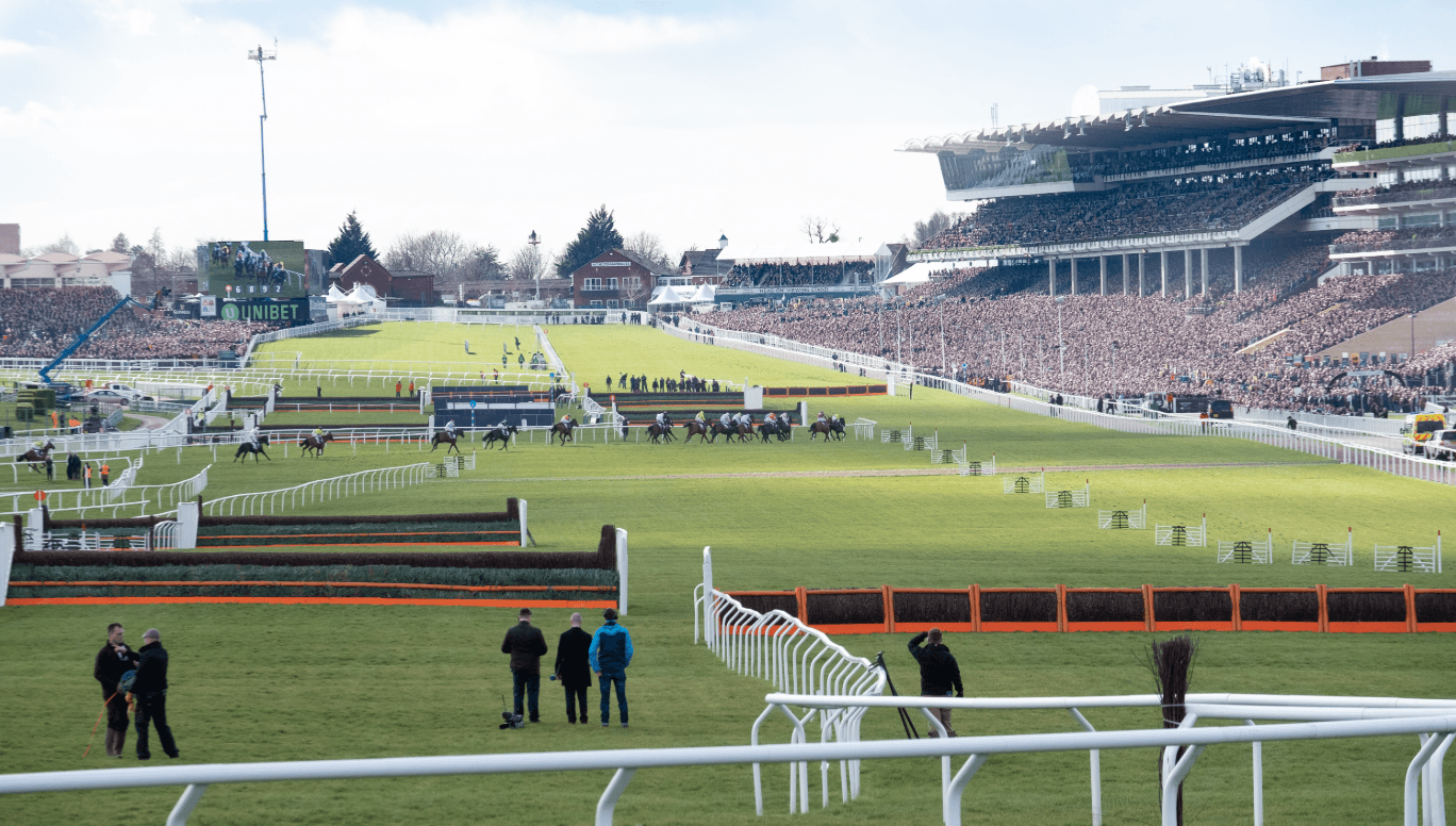 Cheltenham Betting Offers – Compare the Best Odds