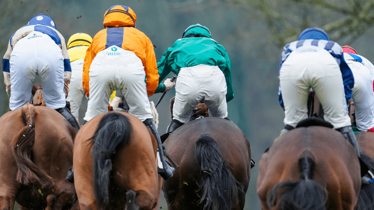 Cheltenham fans to fly out to Benidorm as it’s ‘cheaper than attending’ as competition launched