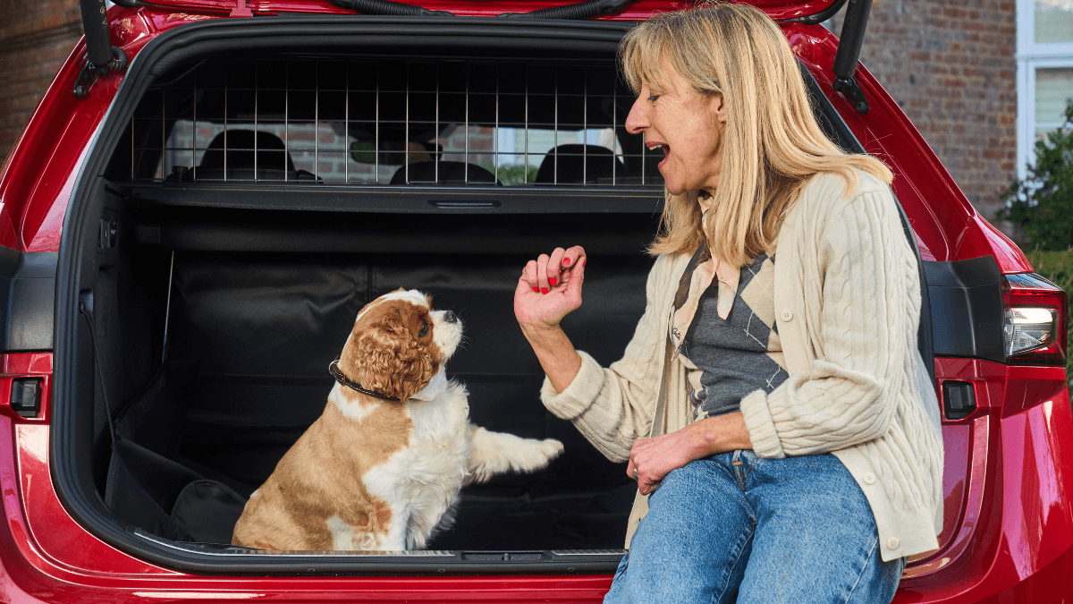 Dog expert reveals the best way to get your pet to behave in the car