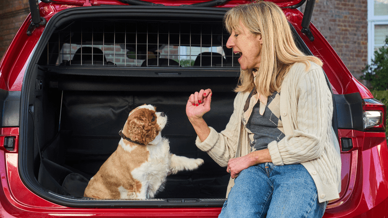 Dog expert reveals the best way to get your pet to behave in the car