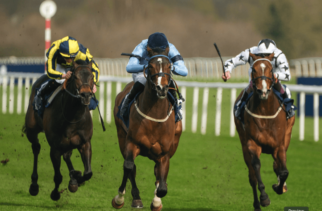 Paddock Picks – Our big tips for this weekend’s racing