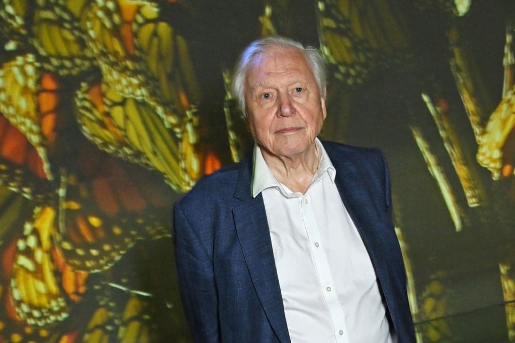The one animal David Attenborough ‘hates’ as legendary environmentalist turns 100