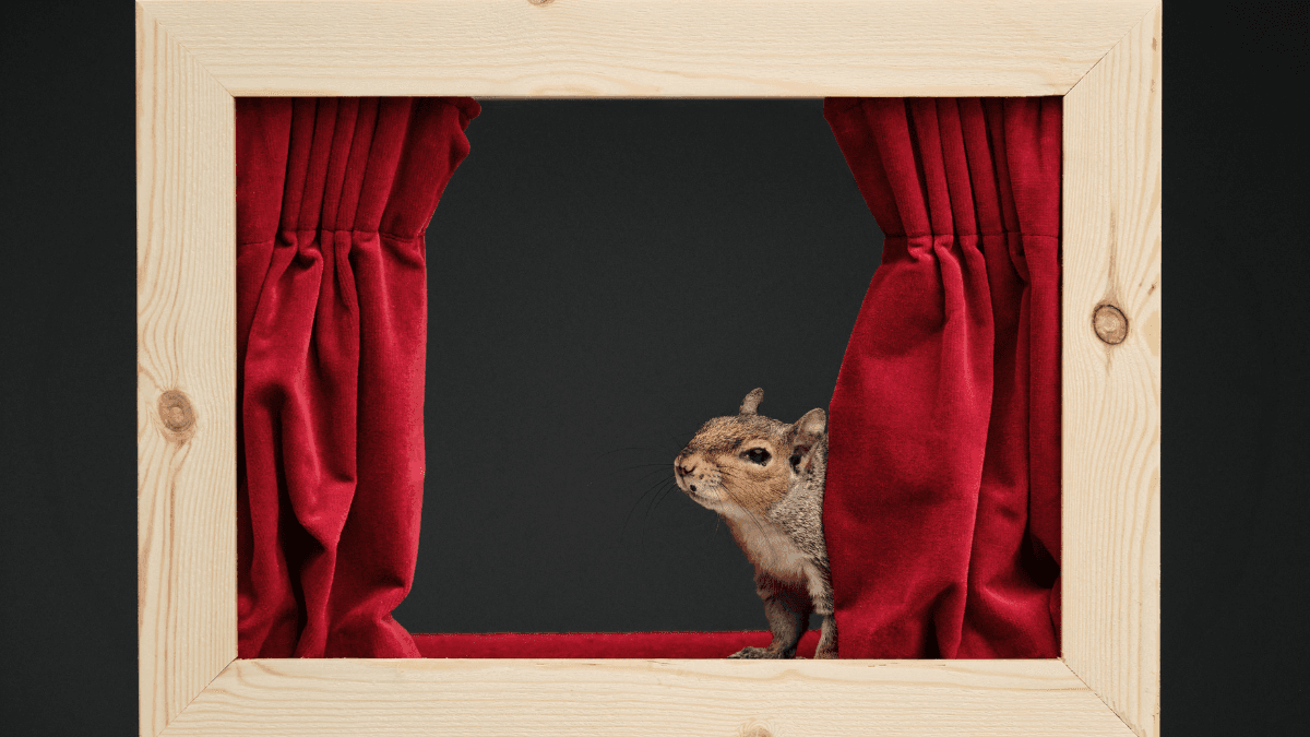 Iconic 90s beer revives classic squirrel advert 30 years after it first aired