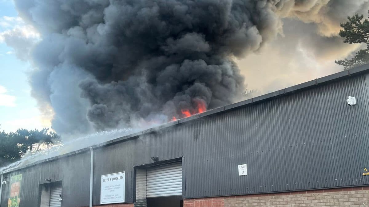 All animals die after fire tears through children’s mini zoo