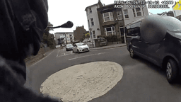 Watch incredible moment van driver helps armed police catch suspect