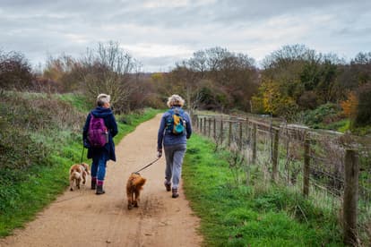 NHS to reward people for walking 30 minutes a day