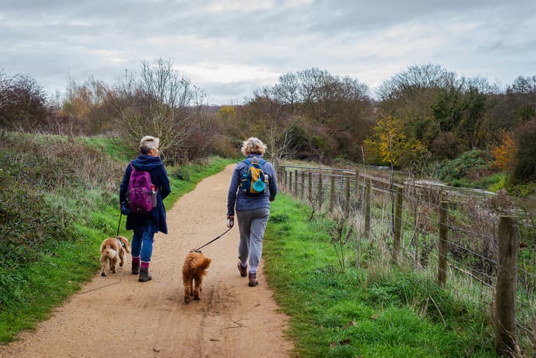 NHS to reward people for walking 30 minutes a day