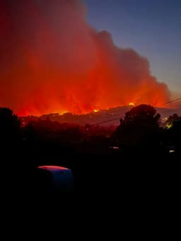 France wildfires: More than 260,000 evacuated as heatwave looms