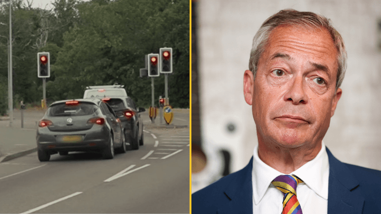 Woman shouts abuse at Nigel Farage before crashing car in bizarre viral video