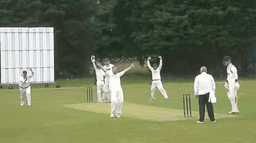 Village cricket ‘cheating scandal’ grips nation as exposing video goes viral online