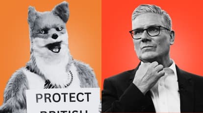 The JOE weekly Politics Quiz: Week Three