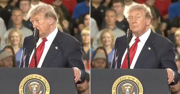 ‘Paedophile protector!’ – Donald Trump heckled by protestors during rally