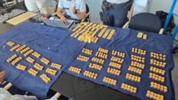 Builders Unearth €9m Gold Hoard Sealed Inside a Belgian Cellar Wall