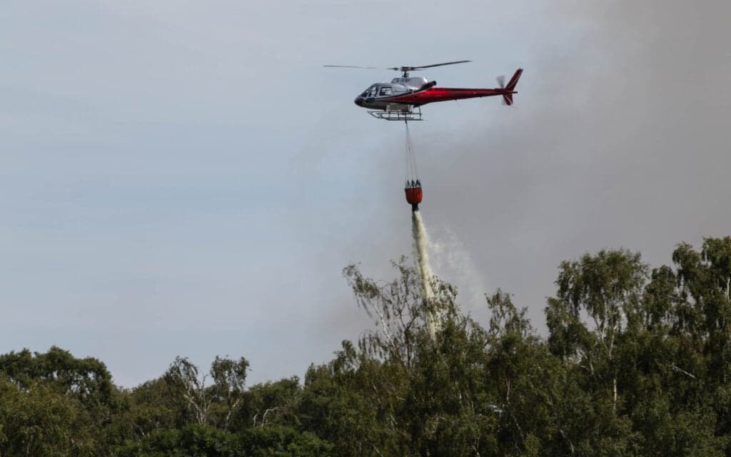 New Forest wildfire under control after A31 blaze