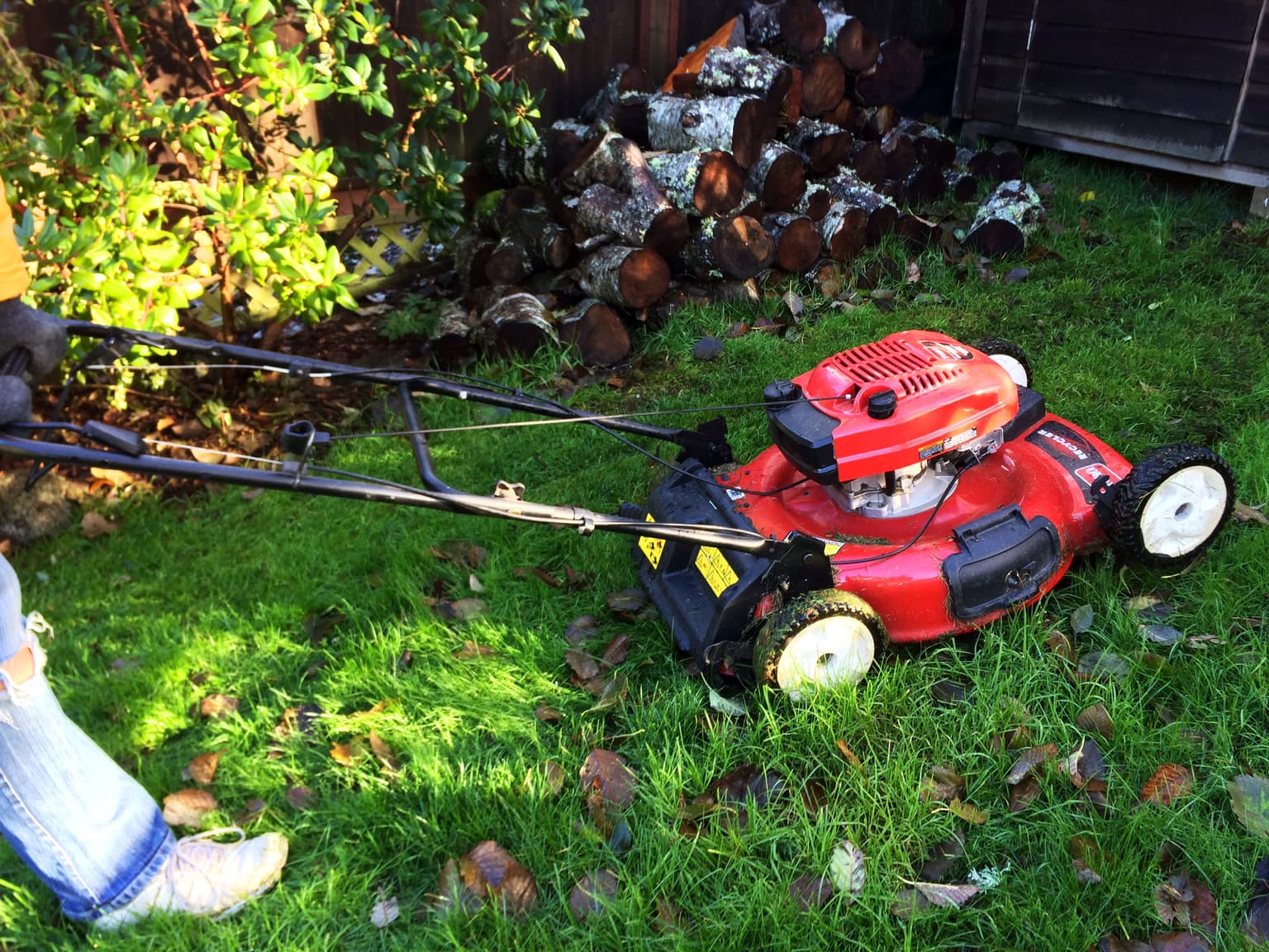 The August garden jobs that keep your plants alive in a heatwave