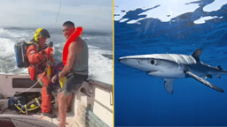 Man airlifted to hospital after shark attack off Irish coast speaks out
