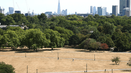 UK Heatwave: Drought fears grow as fifth heatwave builds