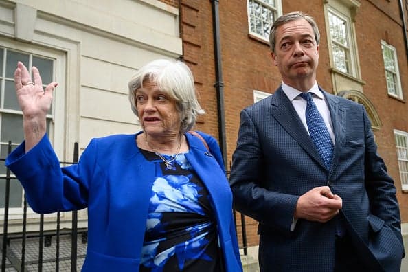 Police probe if Ann Widdecombe threat suspect was behind attack on Nigel Farage’s family home