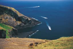 Bodies of four missing people found on island as fears of serial killer rise