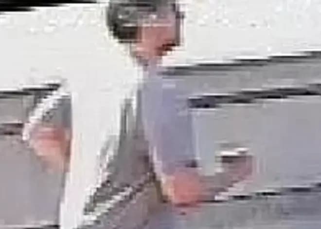 Putney Pusher suspect found dead after being released under investigation