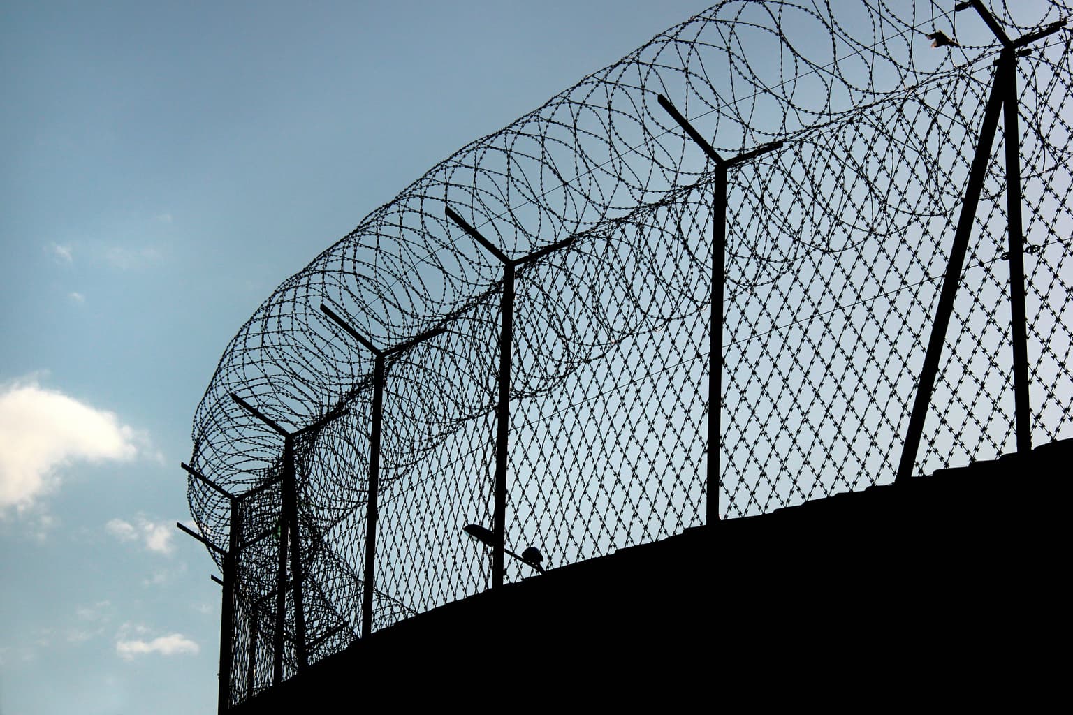 Early release plan confirmed: about 700 prisoners to be freed on 1 October