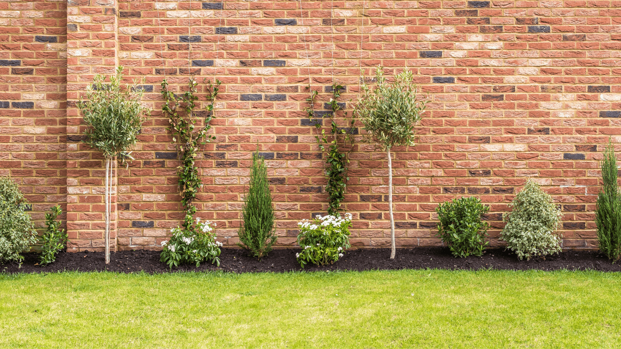 81-year-old woman spends £50,000 in battle with council to walk through her own back garden