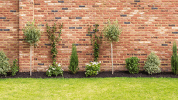 81-year-old woman spends £50,000 in battle with council to walk through her own back garden