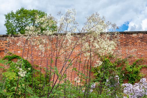 81-year-old woman wins £50,000 with council to walk through her own backyard