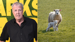 Jeremy Clarkson issues blunt warning after 11 sheep stolen from Diddly Squat Farm