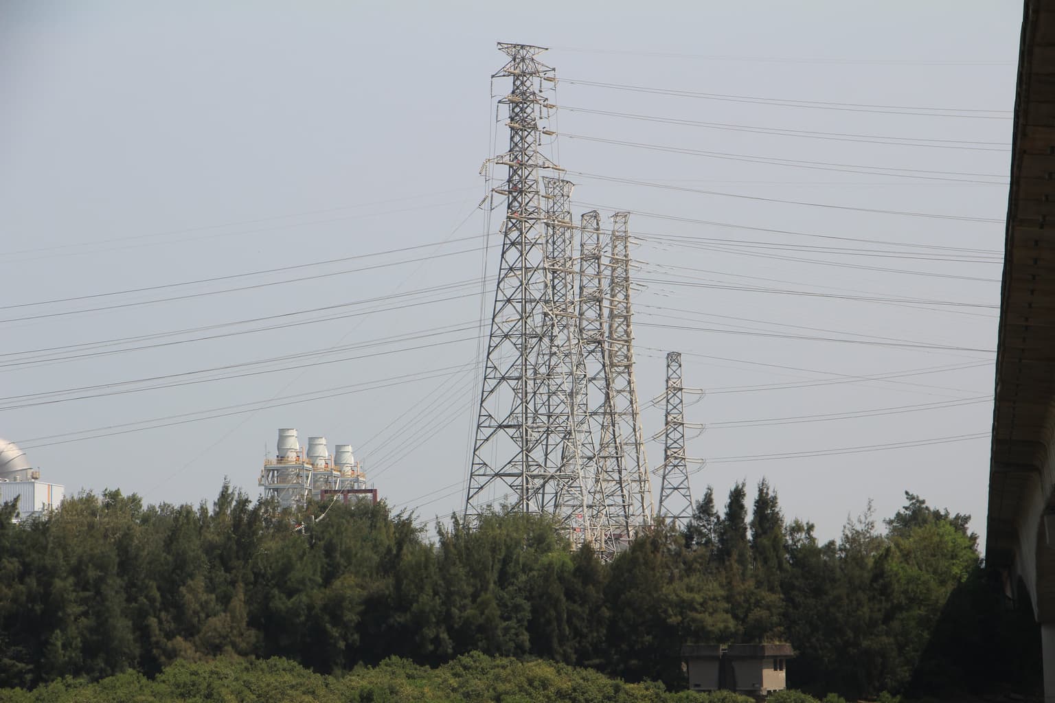 Pylon payout: paralysed worker wins £10m after fall