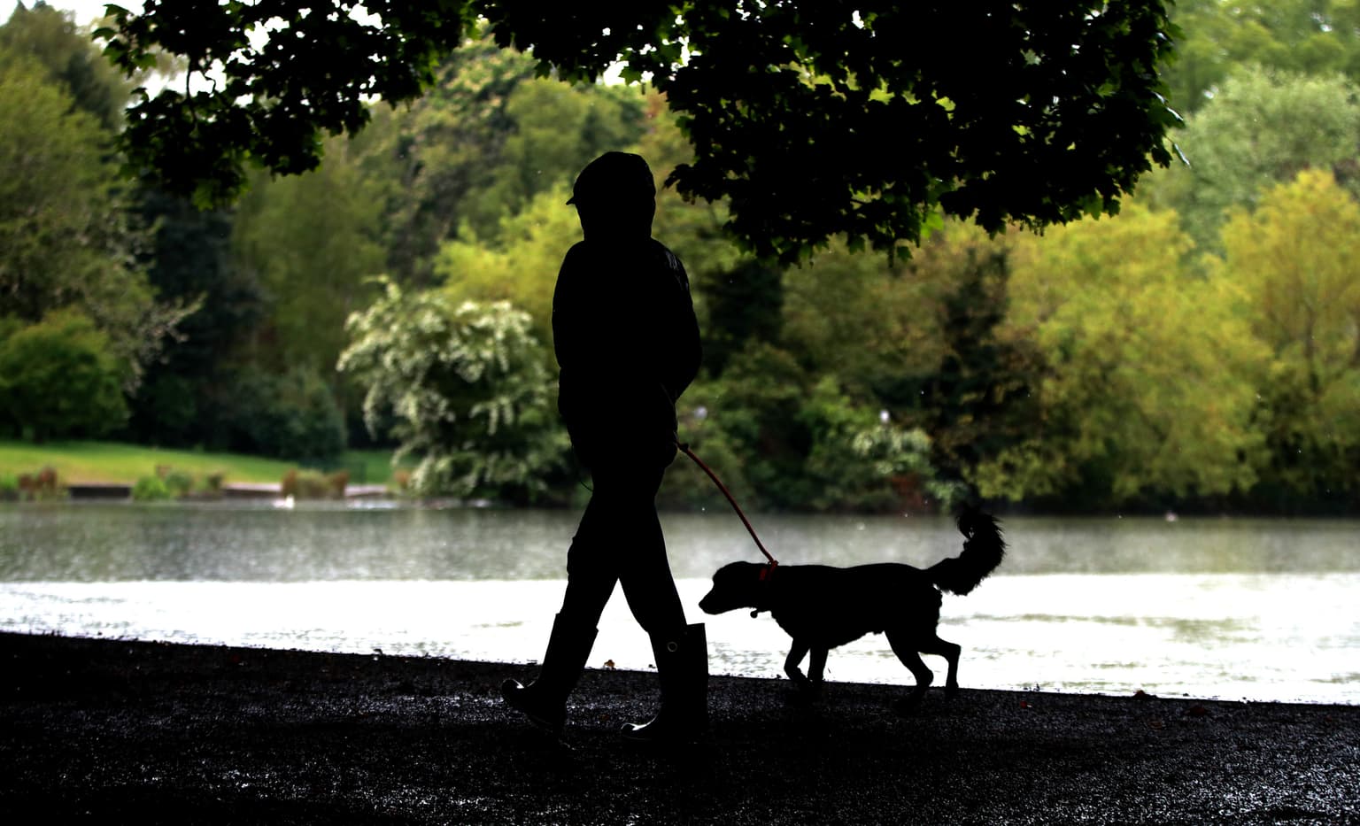 Dog walker killer given indefinite hospital order
