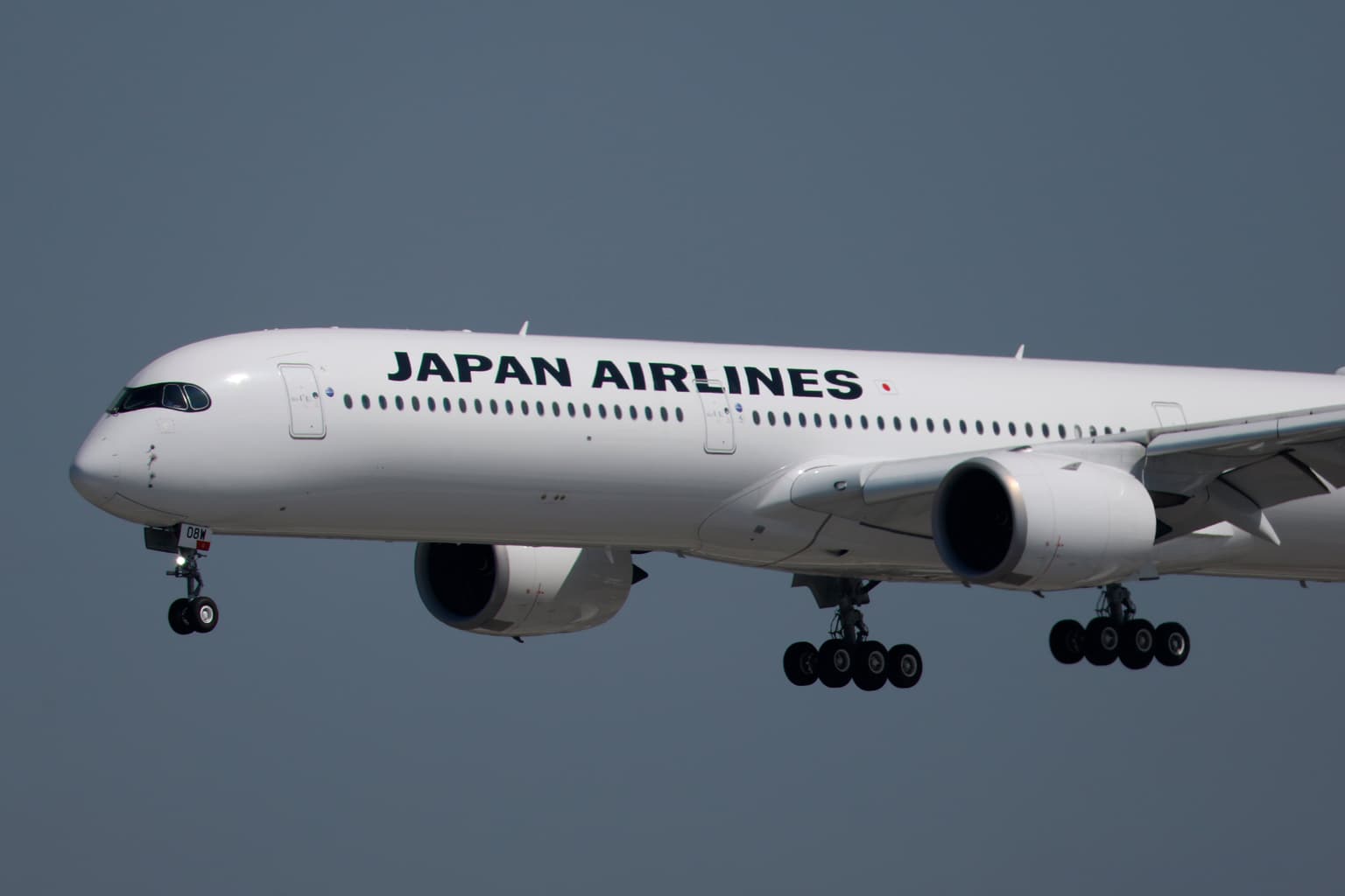 Flight cancelled after snake found on plane in first of its kind incident