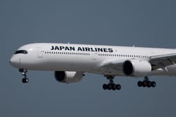 Flight cancelled after snake found on plane in first of its kind incident