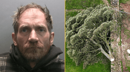 Sycamore Gap: second man released from prison