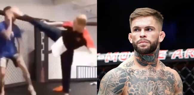 The Jean-Claude Van Damme kick that absolutely infuriated Cody Garbrandt The Jean-Claude Van Damme kick that absolutely infuriated Cody Garbrandt