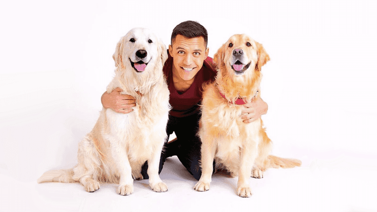 Exclusive interview with Alexis Sánchez’s dogs, Atom and Humber Exclusive interview with Alexis Sánchez’s dogs, Atom and Humber