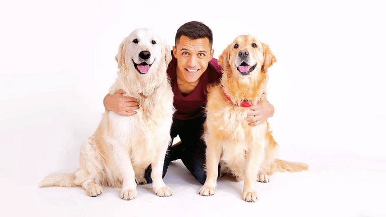 Exclusive interview with Alexis Sánchez’s dogs, Atom and Humber Exclusive interview with Alexis Sánchez’s dogs, Atom and Humber