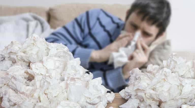Fears rise over ‘Aussie Flu’ outbreak after deaths recorded in Ireland Fears rise over ‘Aussie Flu’ outbreak after deaths recorded in Ireland