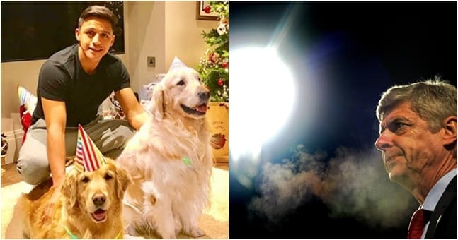 Atom and Humber have lost their brilliant banner at the Emirates Atom and Humber have lost their brilliant banner at the Emirates