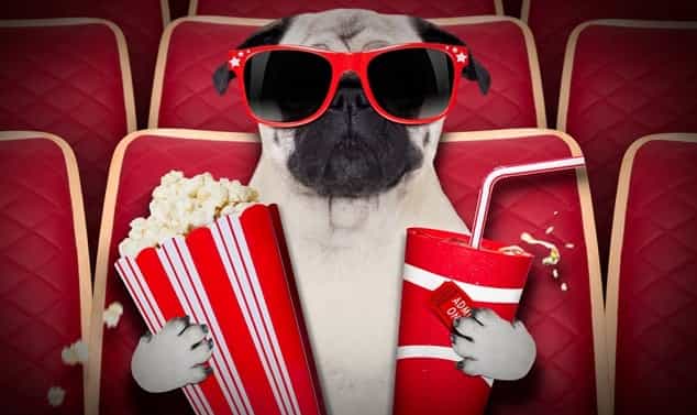 Various cinemas around the UK are hosting dog-friendly film screenings Various cinemas around the UK are hosting dog-friendly film screenings