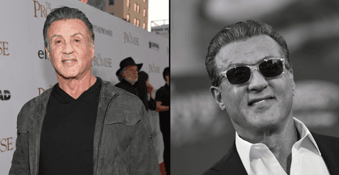 Sylvester Stallone subject to sick death hoax following huge update on Creed 2 film Sylvester Stallone subject to sick death hoax following huge update on Creed 2 film