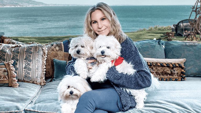 Barbra Streisand has cloned her dead dog into two new dogs Barbra Streisand has cloned her dead dog into two new dogs
