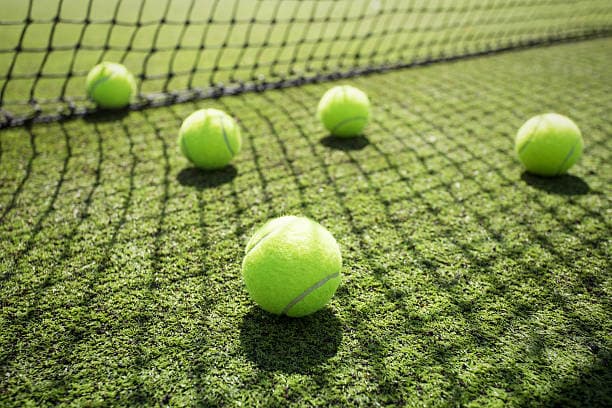 Nobody on Twitter can decide what colour tennis balls are
