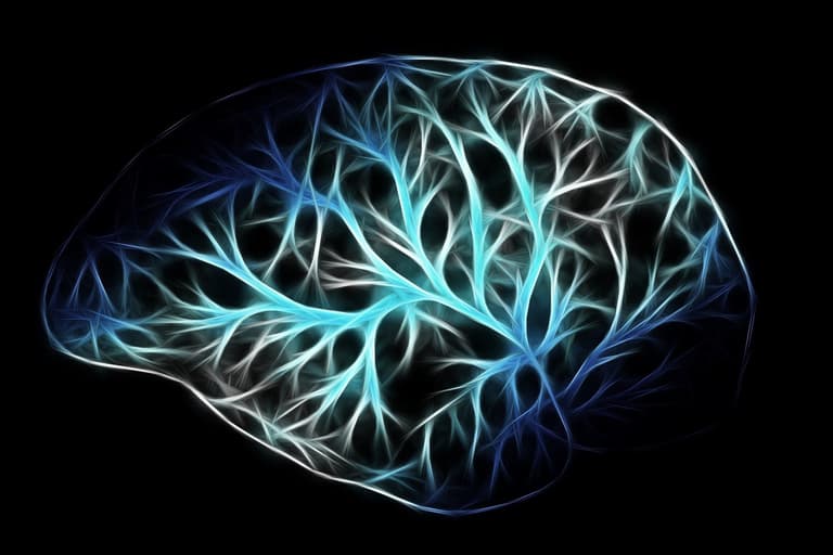 Scientists successfully remove Alzheimer’s from mice in massive breakthrough Scientists successfully remove Alzheimer’s from mice in massive breakthrough